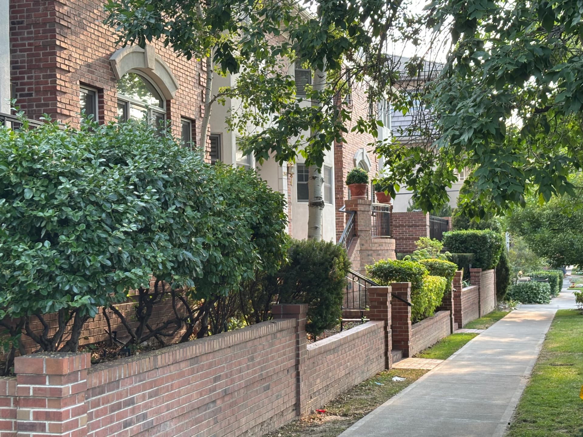 Shaded brick sidewalk in Cherry Creek North