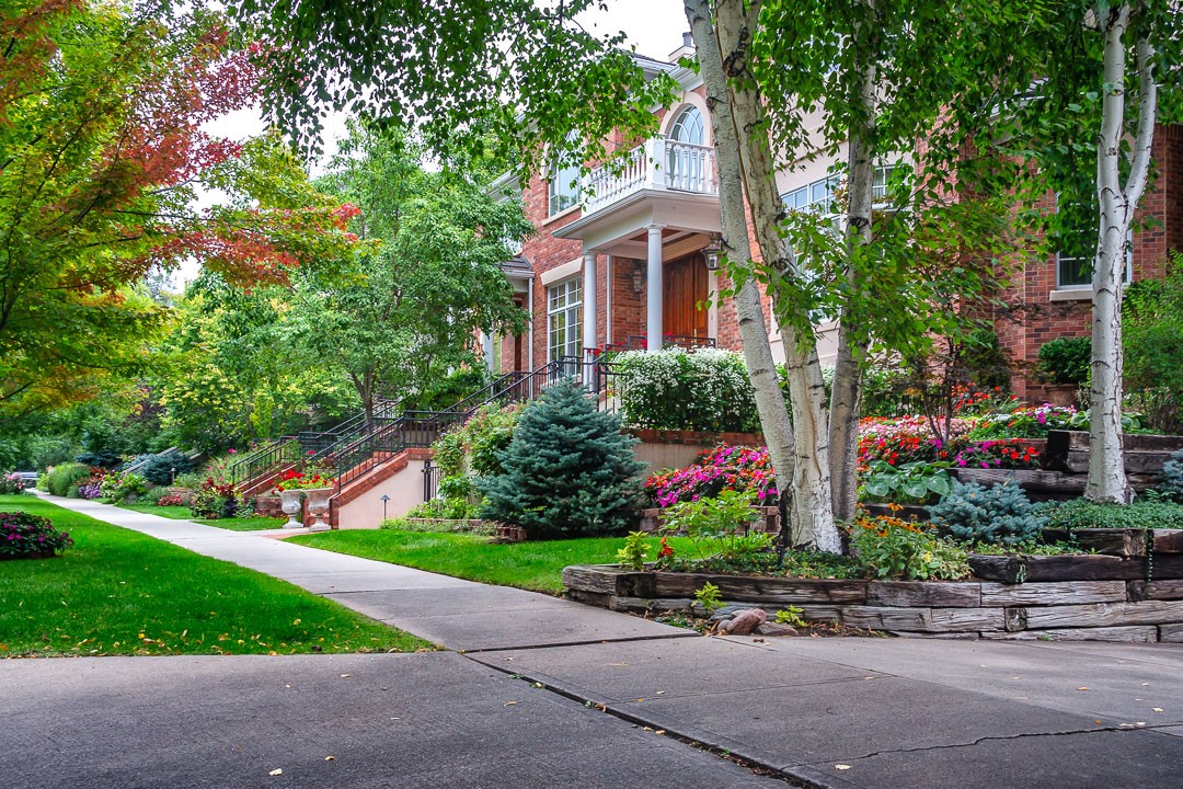 Cherry Creek North neighborhood street
